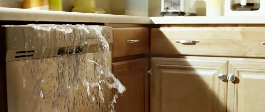 Port Townsend, WA Water Damage Restoration